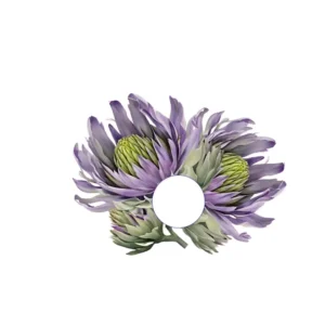 Acrylic Napkin Ring - Artichoke Set of 4