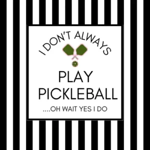 Acrylic Coasters- Don't Always Play- Set of 4